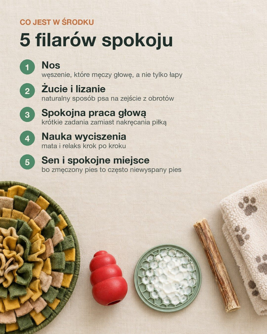 5 filarów spokoju
