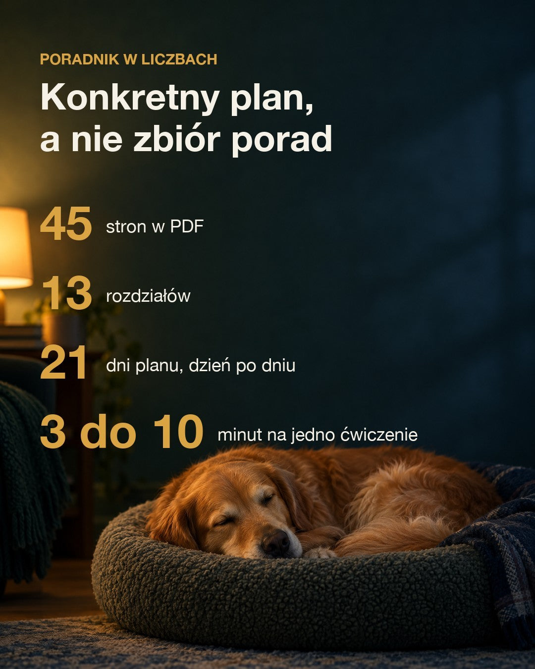 Poradnik w liczbach: 45 stron, 13 rozdziałów, 21 dni planu, 3 do 10 minut na ćwiczenie