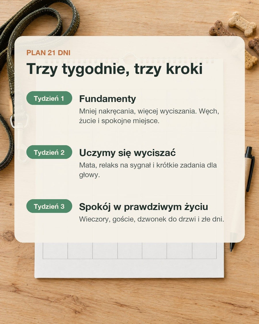 Plan 21 dni w trzech tygodniach