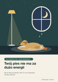 Okładka poradnika