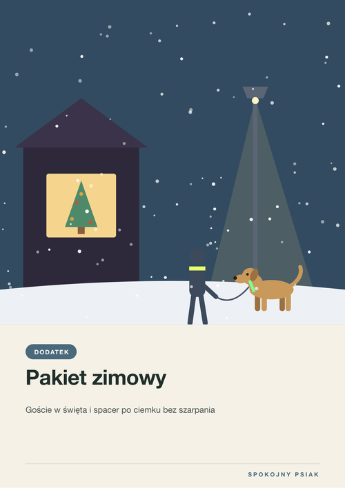 Okładka bonusu Pakiet zimowy