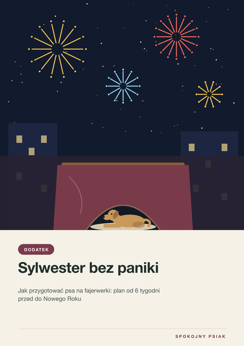 Okładka bonusu Sylwester bez paniki