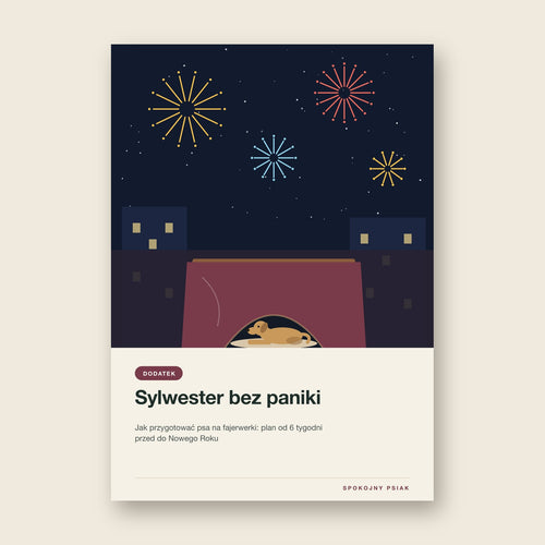 Okładka e-booka Sylwester bez paniki