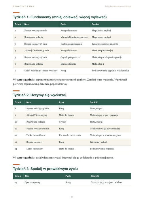 Poradnik: Plan 21 dni dzień po dniu