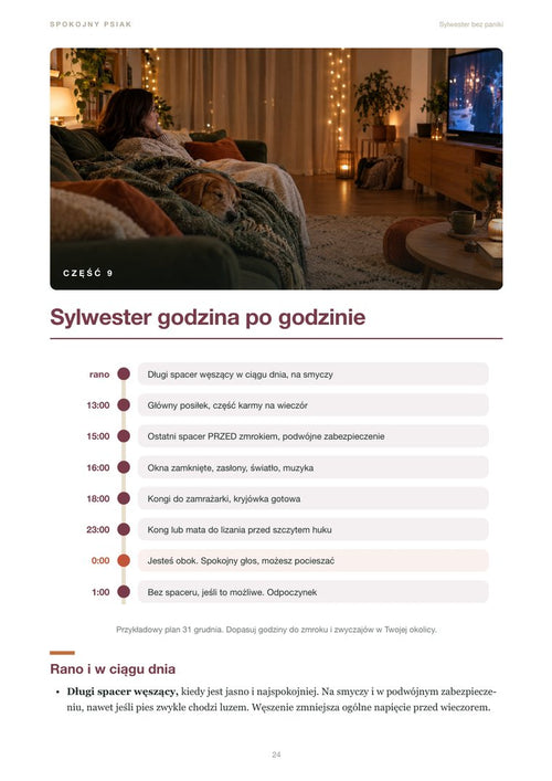 Sylwester bez paniki: Sylwester godzina po godzinie